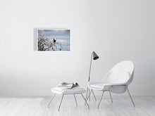 Load image into Gallery viewer, 6903643-1924832