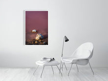 Load image into Gallery viewer, 4641735-1073449