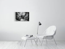 Load image into Gallery viewer, 4641870-1073467