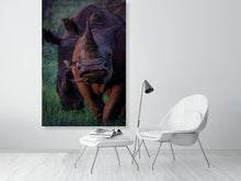 Load image into Gallery viewer, 4641877-1073438