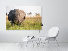 Load image into Gallery viewer, 4641812-1073379