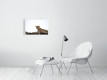 Load image into Gallery viewer, 4641808-1073373