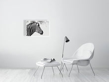 Load image into Gallery viewer, 6903655-1924848