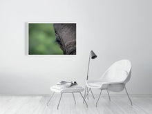 Load image into Gallery viewer, 4641868-1073422