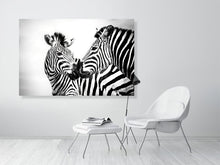 Load image into Gallery viewer, 6903629-1924810