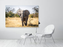 Load image into Gallery viewer, 6903664-1924858