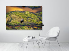 Load image into Gallery viewer, 6903684-1924866