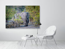 Load image into Gallery viewer, 6903660-1924854