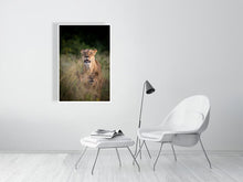 Load image into Gallery viewer, 6903648-1924907