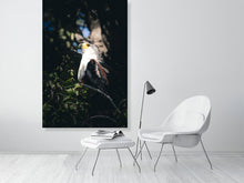 Load image into Gallery viewer, 6903640-1924904