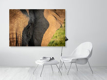 Load image into Gallery viewer, 4641828-1073481