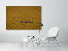 Load image into Gallery viewer, 4641851-1073403