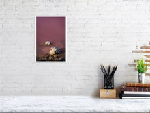 Load image into Gallery viewer, 4641735-1073447