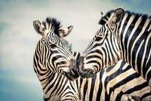 Load image into Gallery viewer, Love is in the Air - Amanda Jayne Photography