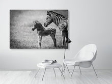 Load image into Gallery viewer, 4641864-1073473