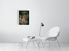 Load image into Gallery viewer, 6903637-1924935