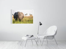 Load image into Gallery viewer, 4641812-1073378