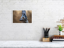 Load image into Gallery viewer, 6903692-1924871