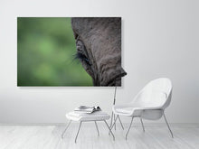 Load image into Gallery viewer, 4641868-1073423