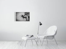 Load image into Gallery viewer, 4641864-1073471