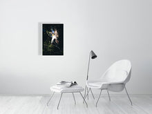 Load image into Gallery viewer, 6903640-1924902