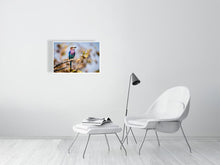 Load image into Gallery viewer, 6903676-1924860