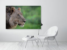 Load image into Gallery viewer, 4641858-1073477