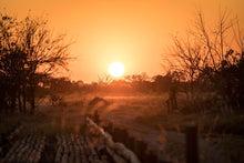 Load image into Gallery viewer, 6945530