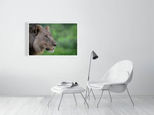 Load image into Gallery viewer, 4641858-1073476