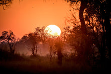 Load image into Gallery viewer, 6903628