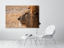 Load image into Gallery viewer, 4641856-1073415