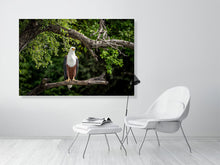 Load image into Gallery viewer, 6903636-1924830