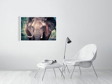 Load image into Gallery viewer, 4641867-1073418