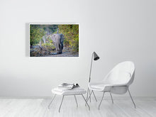 Load image into Gallery viewer, 6903660-1924853