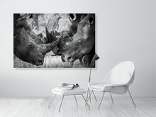 Load image into Gallery viewer, 4641870-1073469