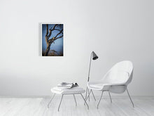 Load image into Gallery viewer, 4641805-1073454