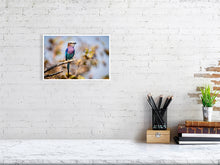 Load image into Gallery viewer, 6903676-1924859