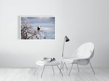 Load image into Gallery viewer, 6903643-1924833