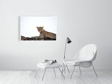 Load image into Gallery viewer, 4641808-1073374