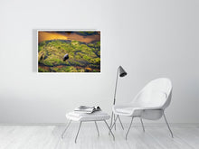 Load image into Gallery viewer, 6903684-1924865