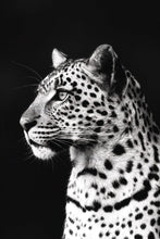 Load image into Gallery viewer, Beauty in Monochrome - Amanda Jayne Photography