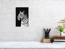 Load image into Gallery viewer, 4641840-1073456