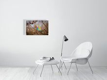 Load image into Gallery viewer, 6903654-1924844