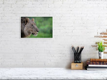 Load image into Gallery viewer, 4641858-1073474