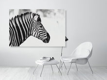 Load image into Gallery viewer, 6903655-1924850