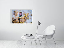 Load image into Gallery viewer, 6903676-1924861