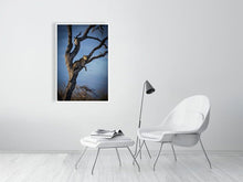 Load image into Gallery viewer, 4641805-1073455