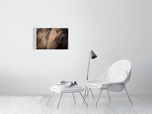 Load image into Gallery viewer, 4641842-1073397