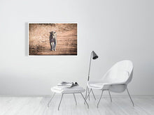 Load image into Gallery viewer, 4641880-1073426