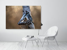 Load image into Gallery viewer, 6903692-1924874
